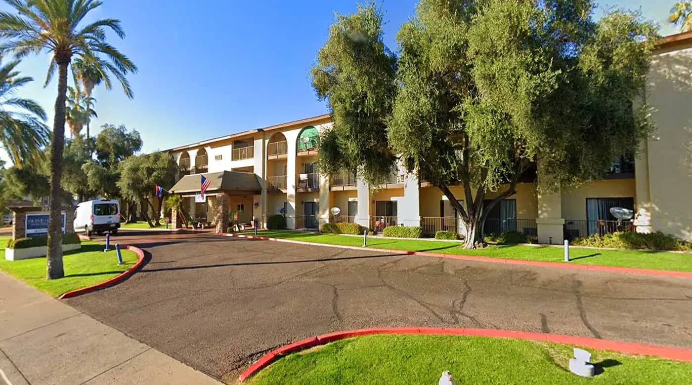 Olive Grove, a Vineyard Park community