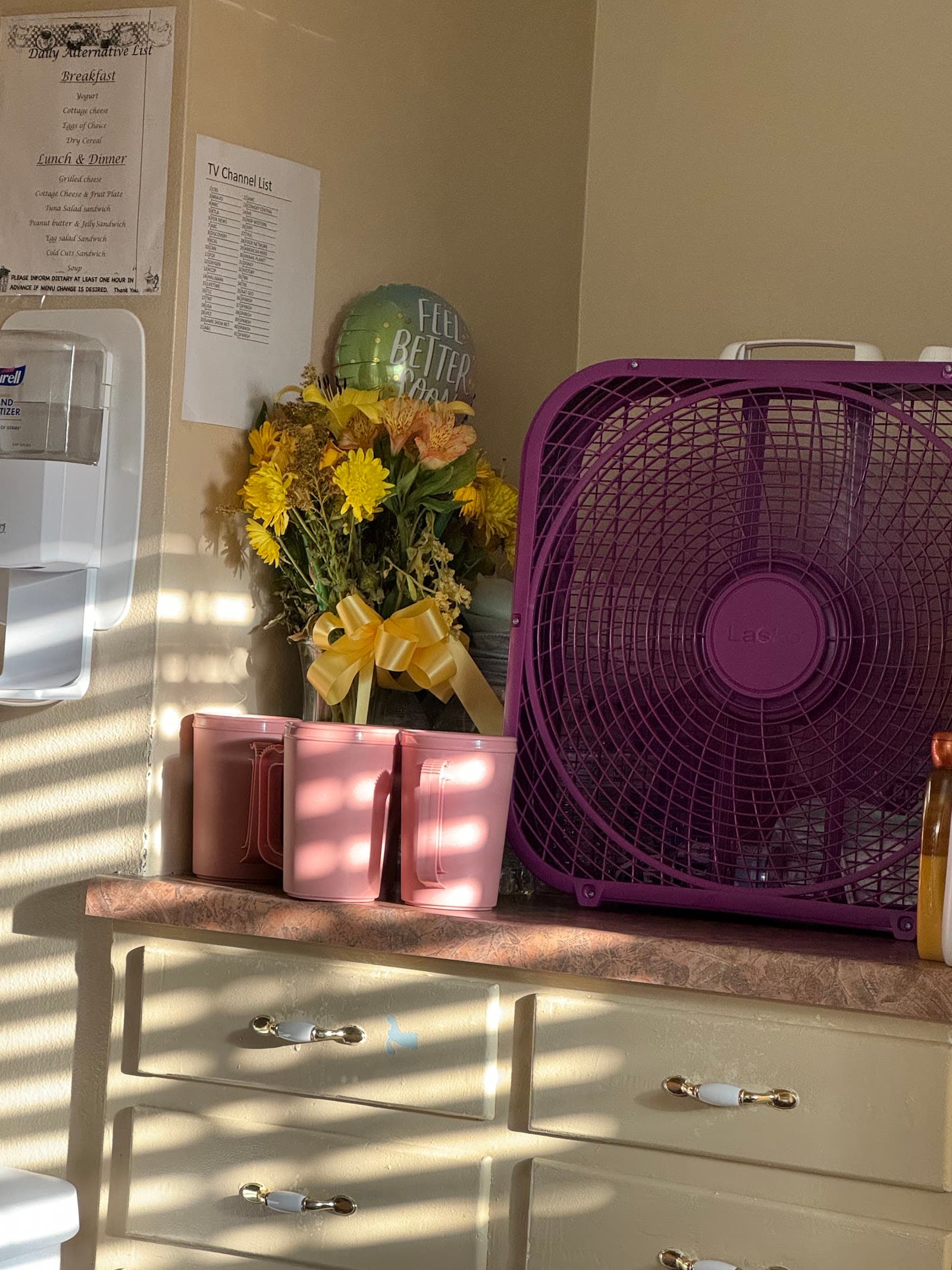 Alta Vista Healthcare & Wellness Centre