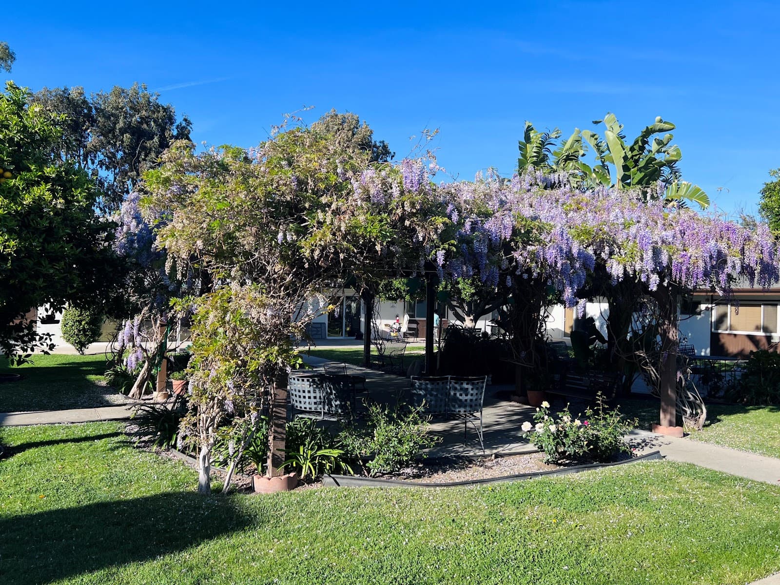 Thousand Oaks Post Acute