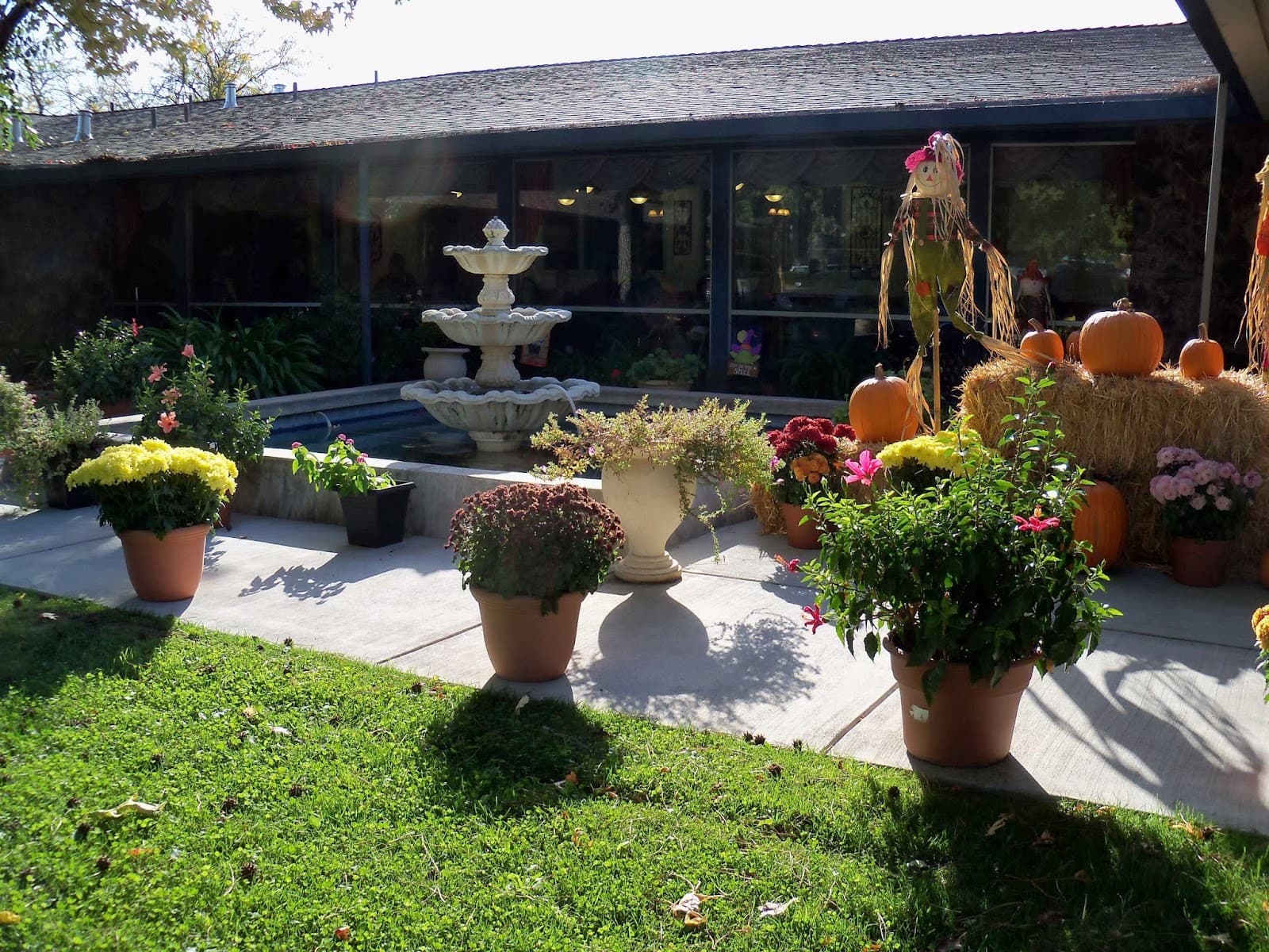 College Oak Nursing & Rehab