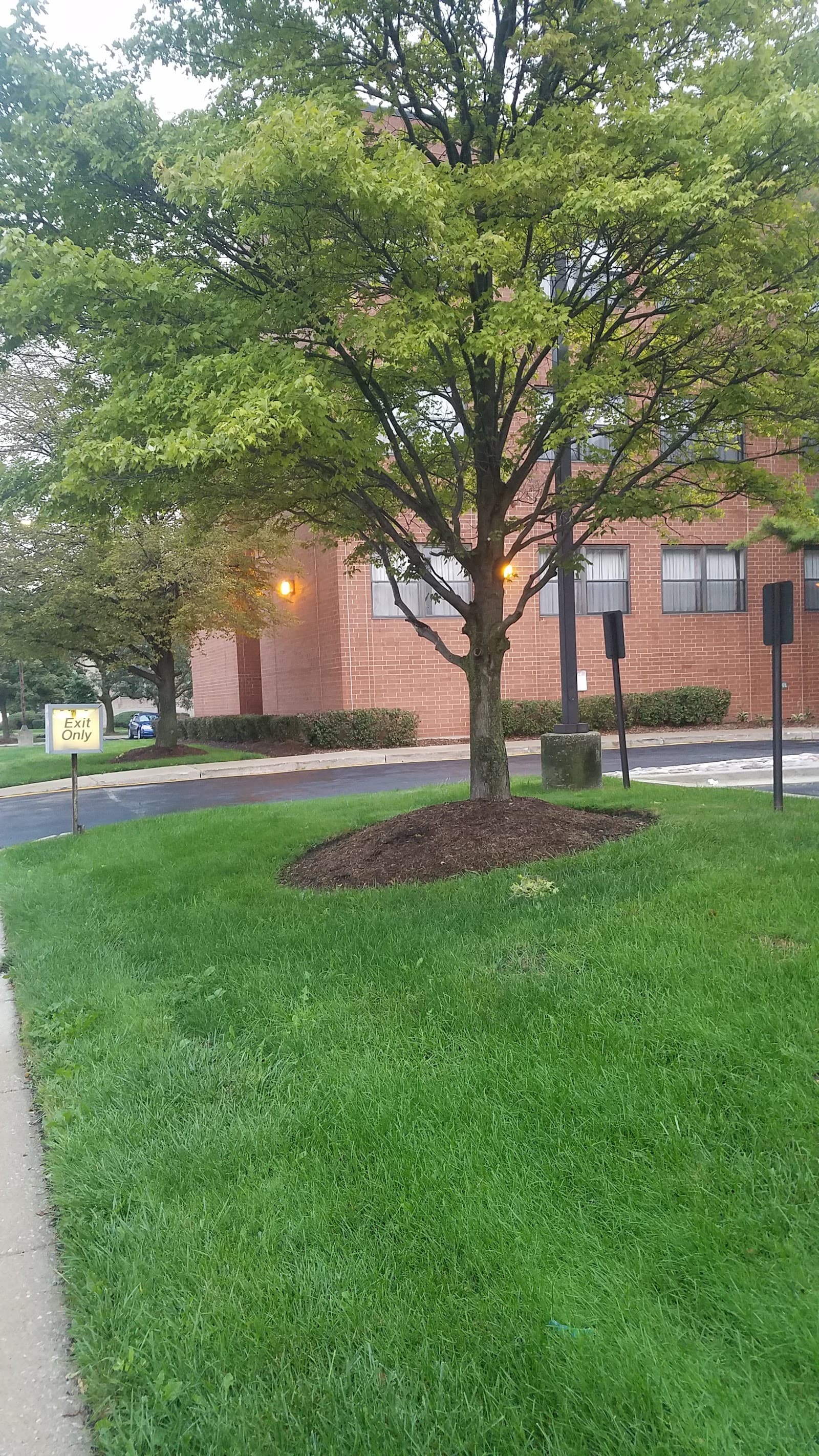 Princeton Rehab & Health