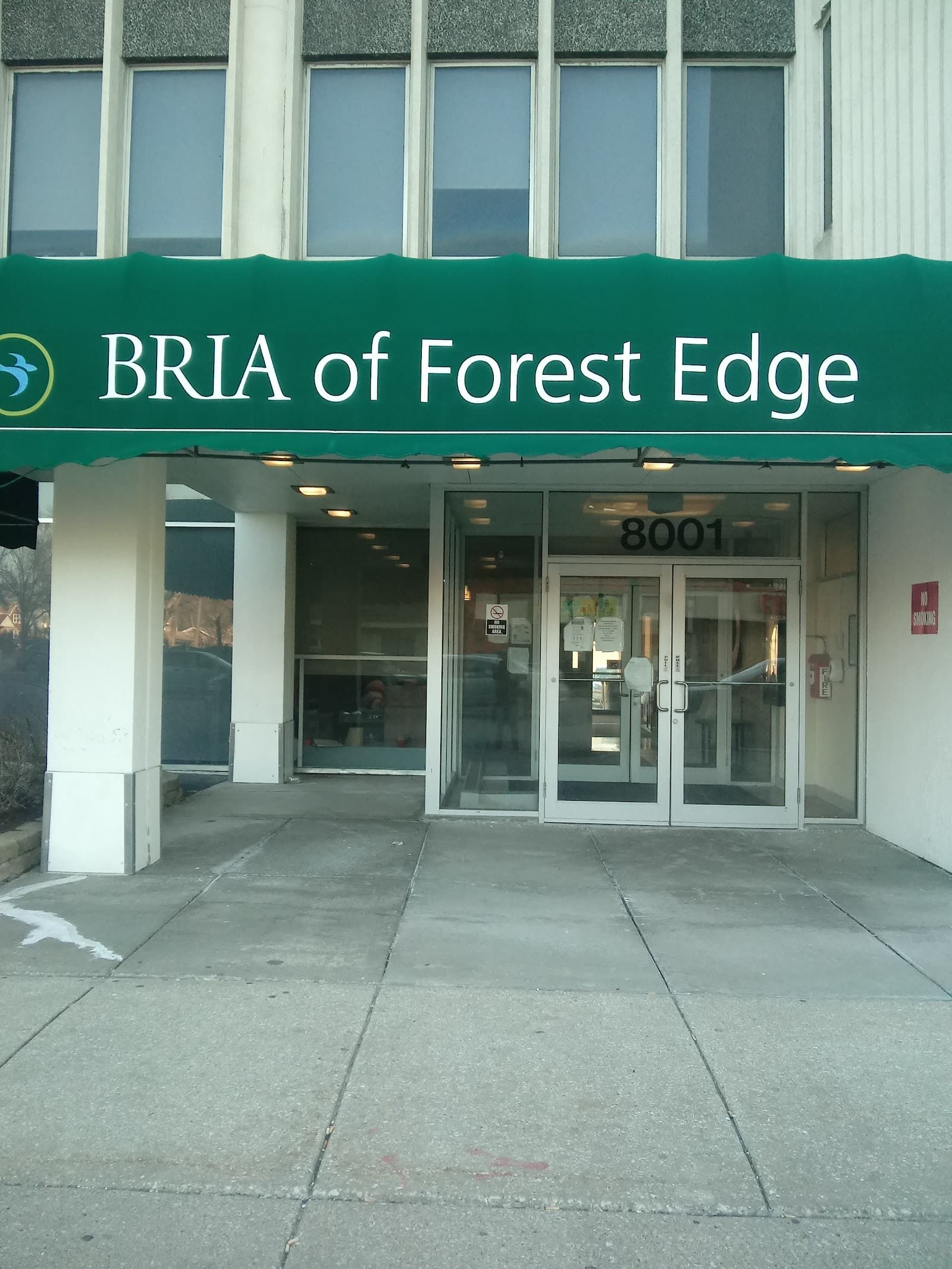 Bria Of Forest Edge