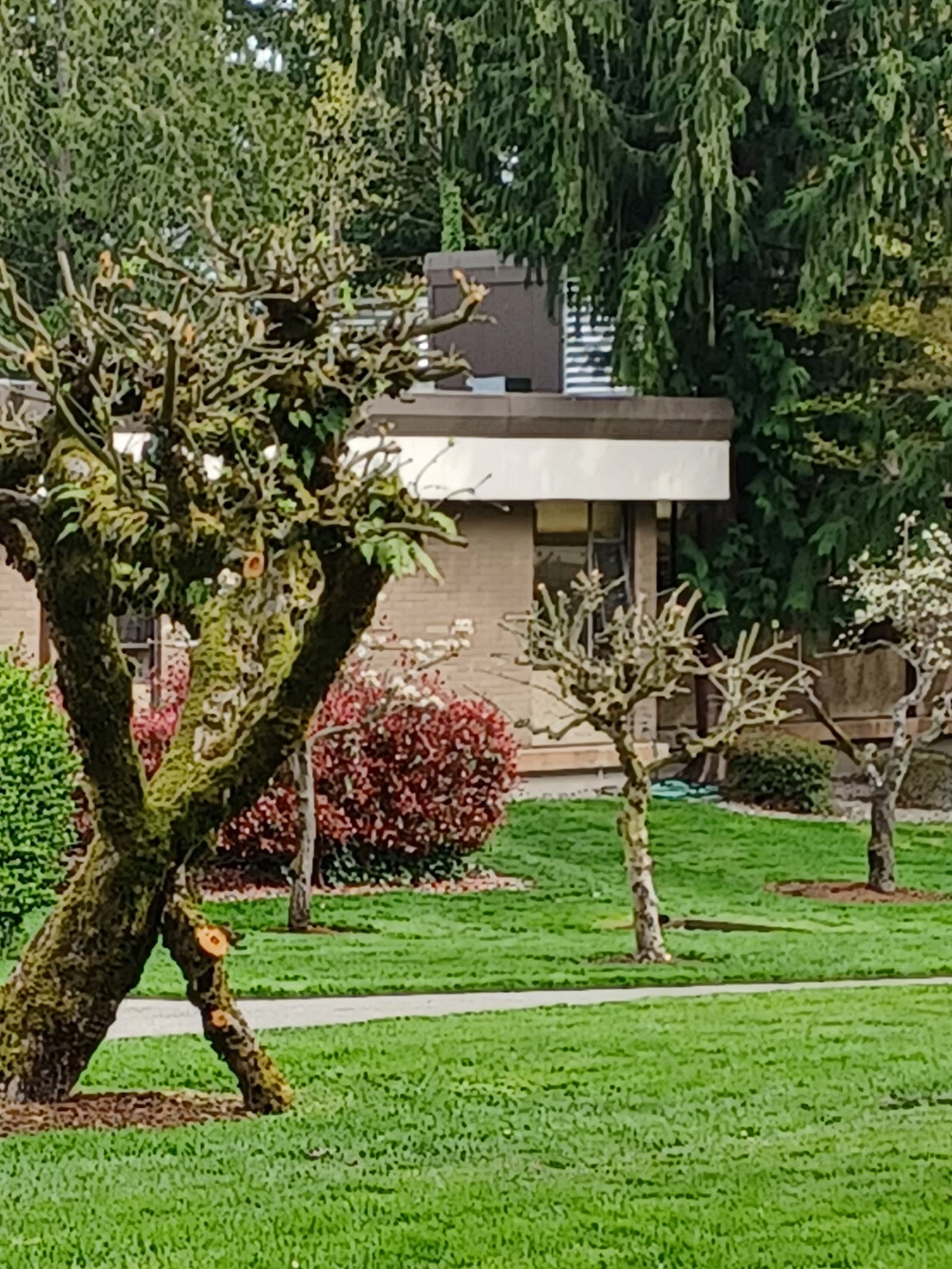 Kline Galland Campus at Seward Park — photo 1