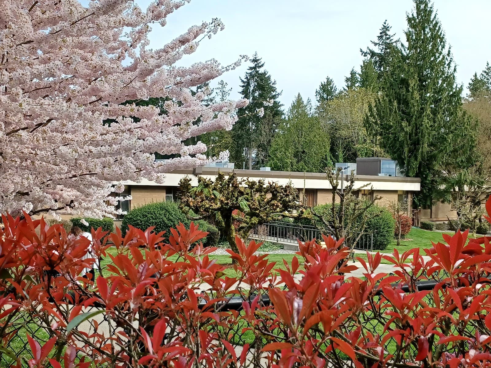 Kline Galland Campus at Seward Park