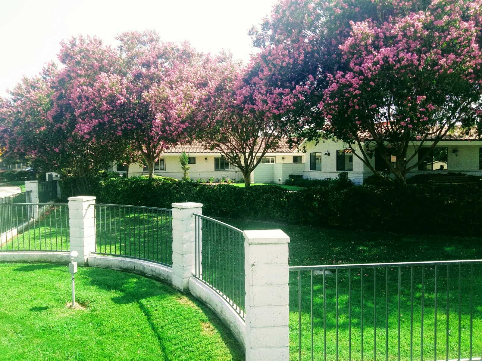 Valencia Gardens Health Care Center