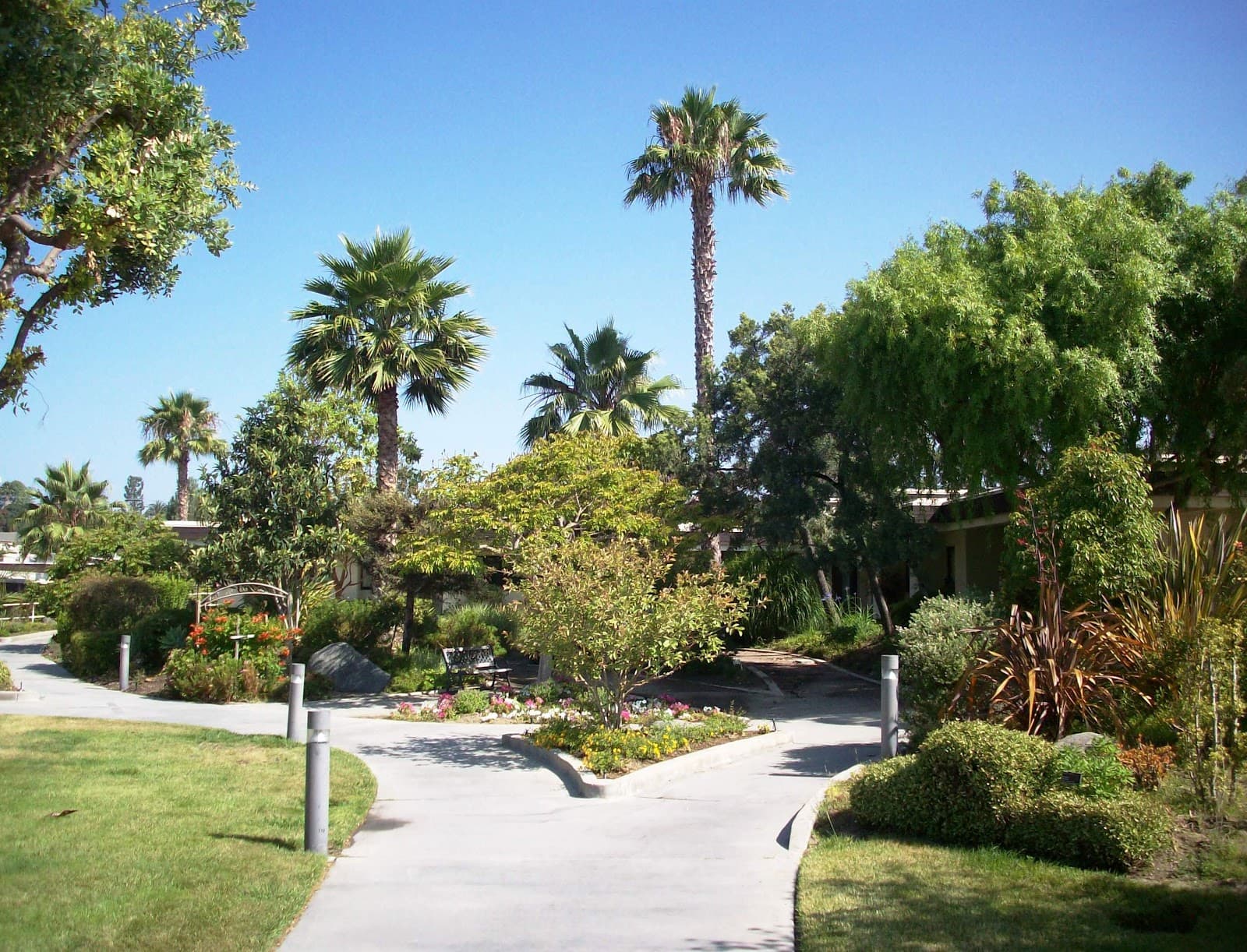 Vista Knoll Specialized Care