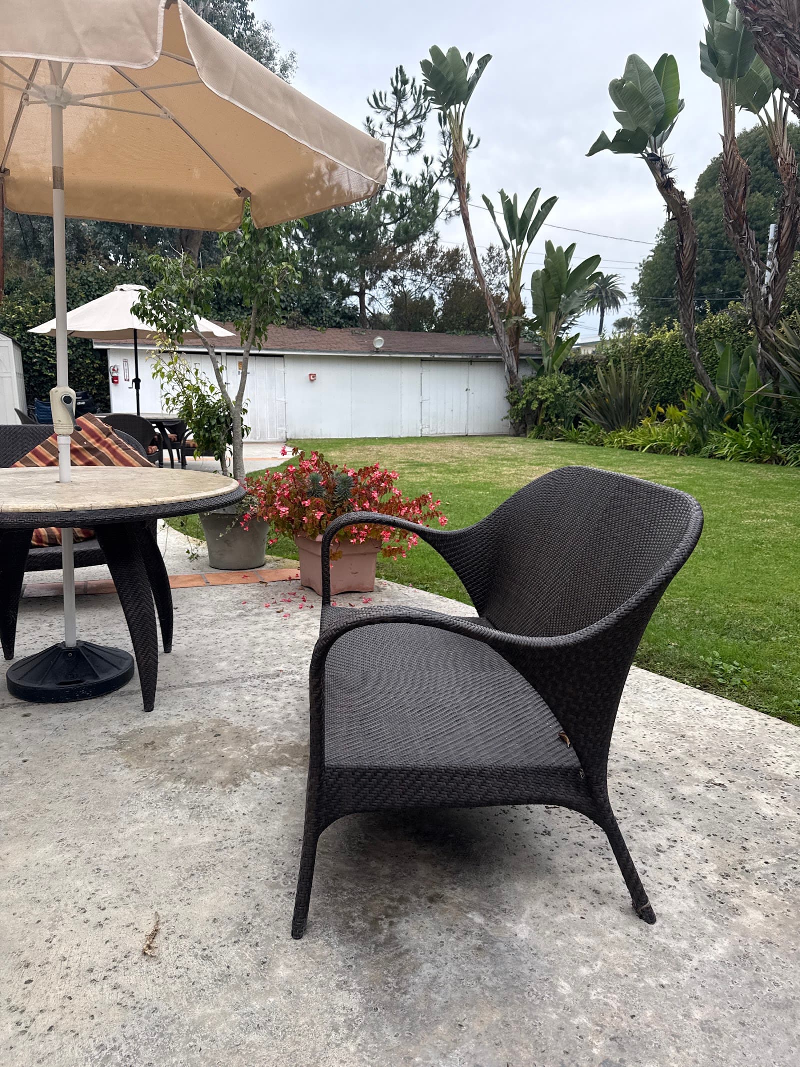Mar Vista Healthcare & Wellness Centre