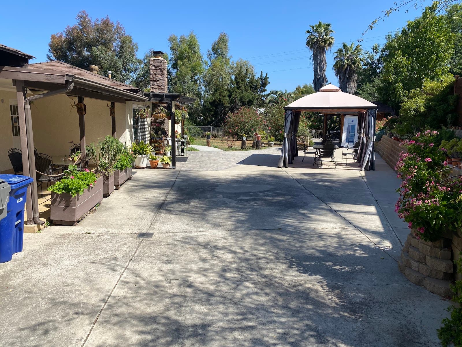 Golden Retreat Senior — photo 1