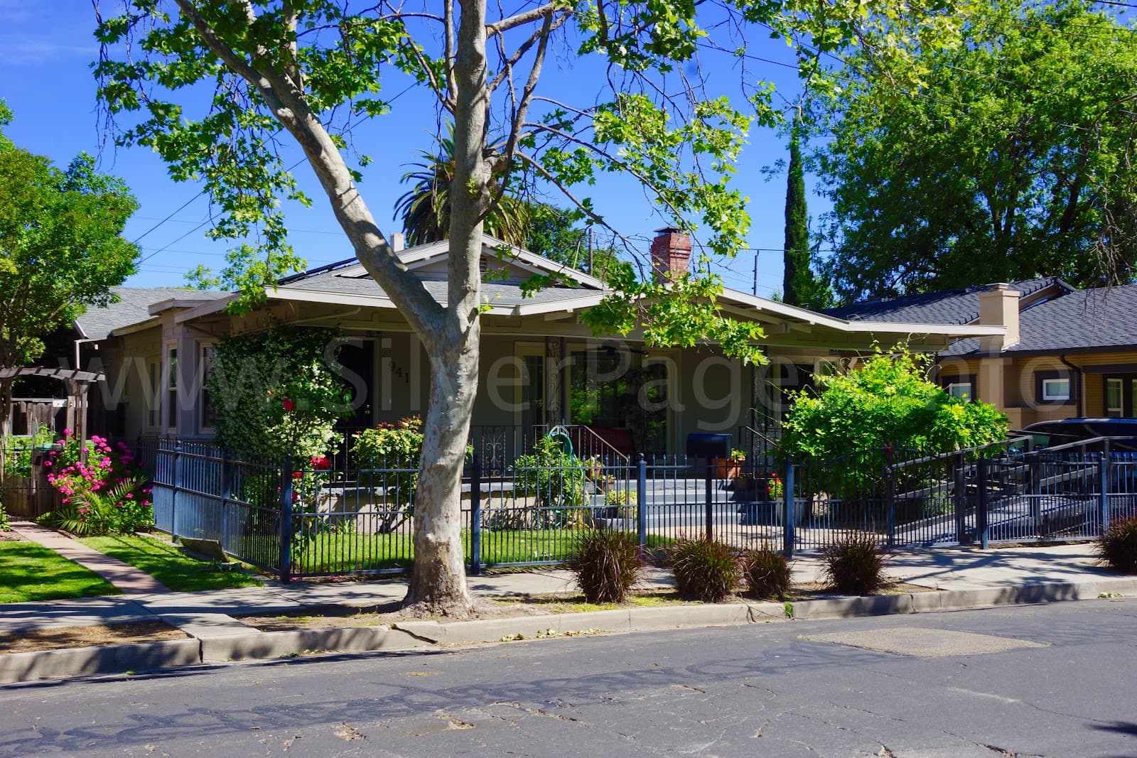 Magnolia Residence
