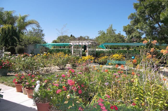 Paradise Home Care