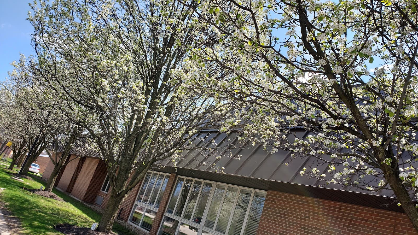 Brandel Care Center — photo 1
