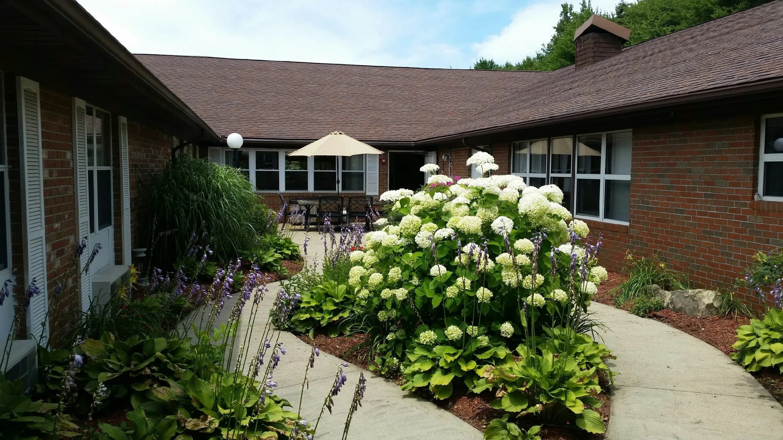 Poplar Care Strategies