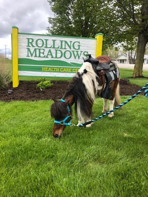 Rolling Meadows Health & Rehabilitation Center