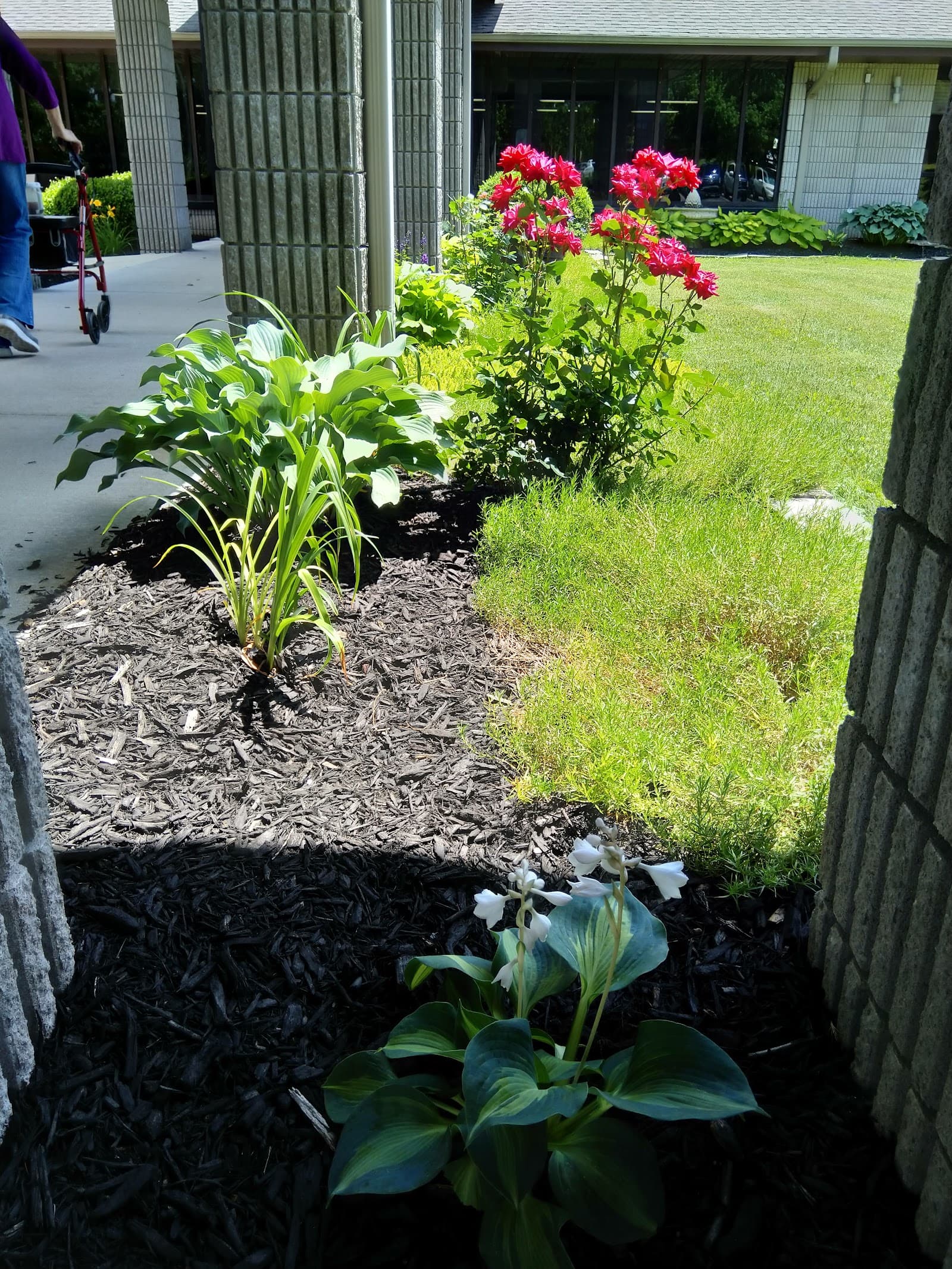 Willow Care Nursing Home