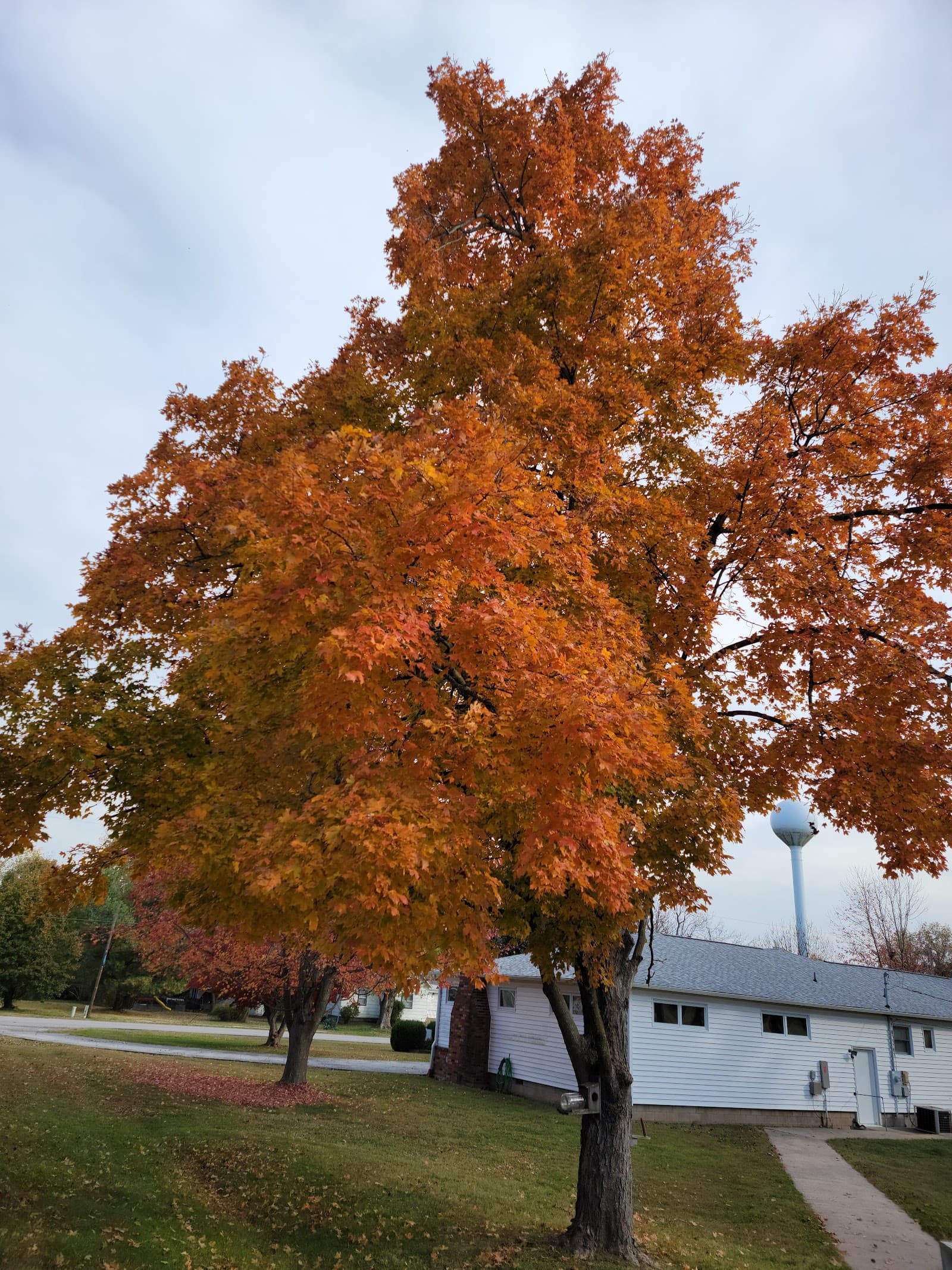 Ozarks Methodist Manor
