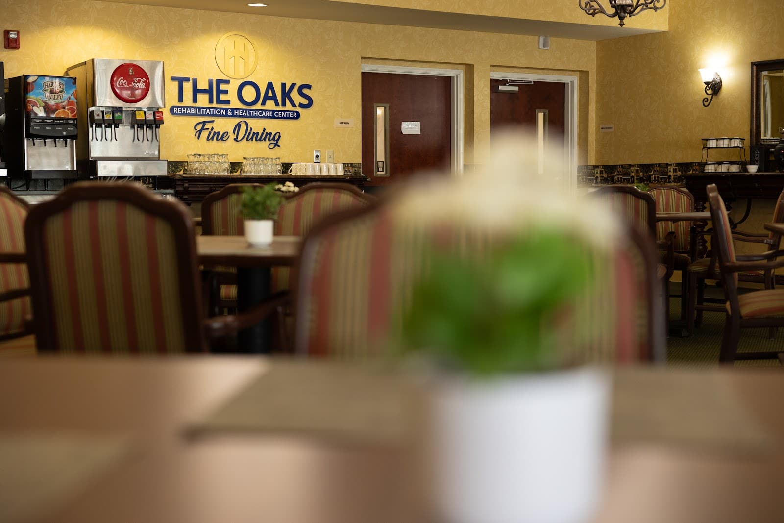 The Oaks Rehabilitation & Healthcare Center LLC