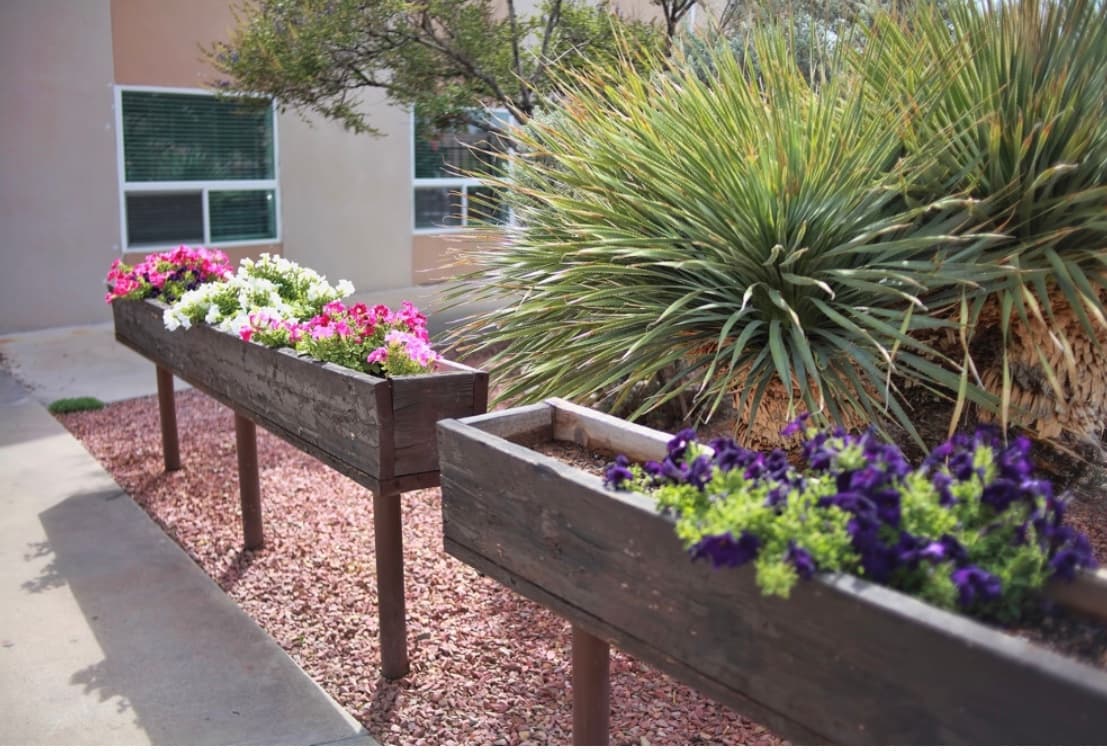 Mountain View Health and Rehabilitation