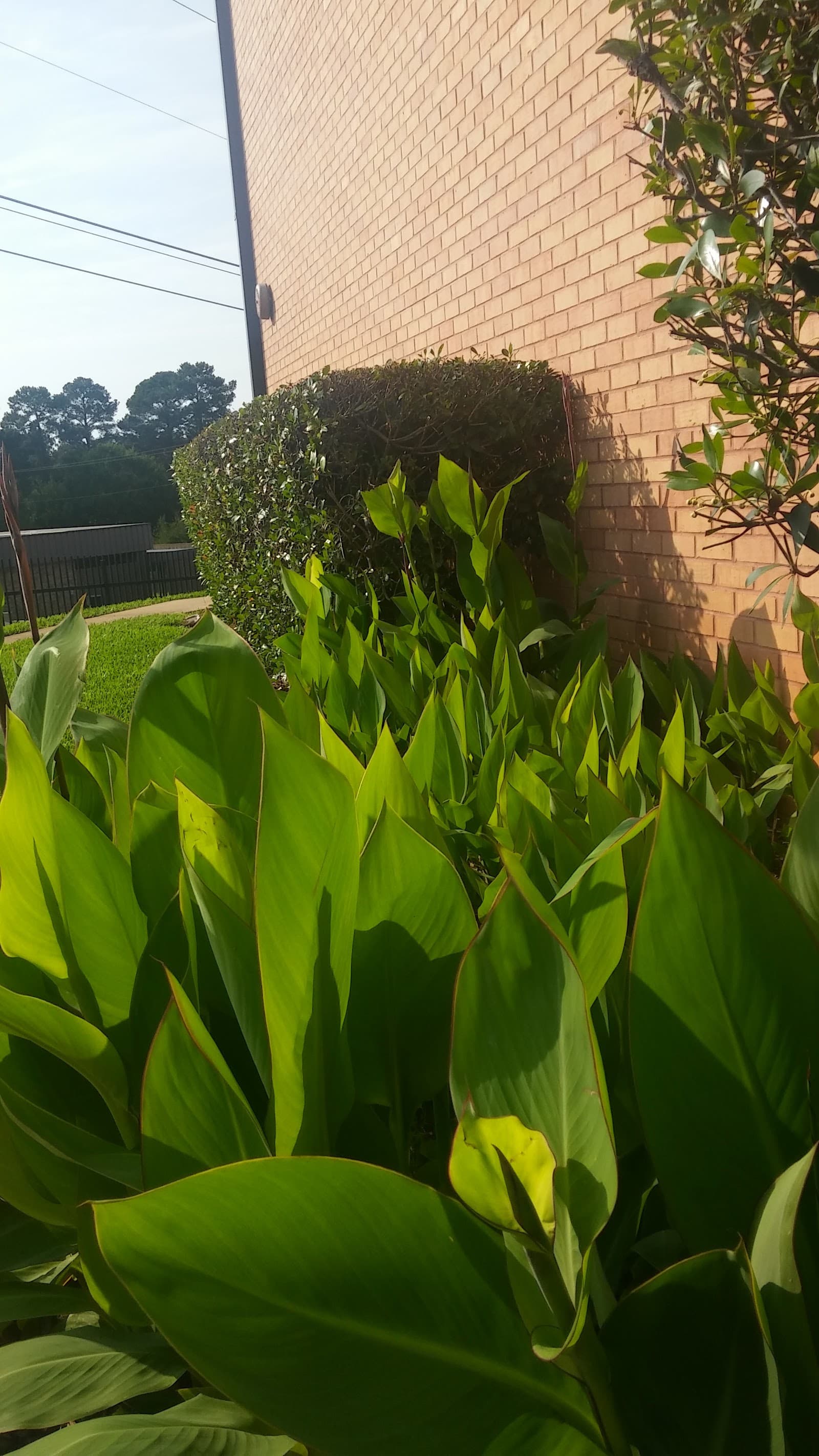 Highland Pines Nursing and Rehabilitation Center