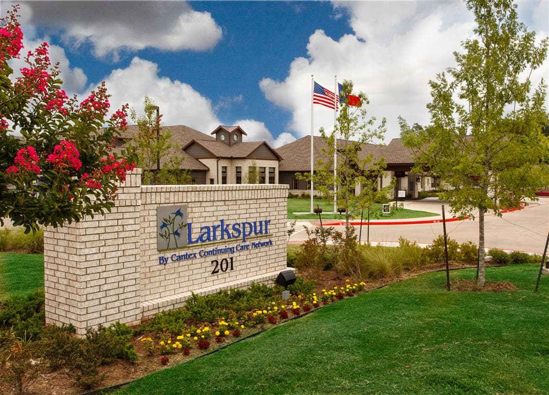 Larkspur
