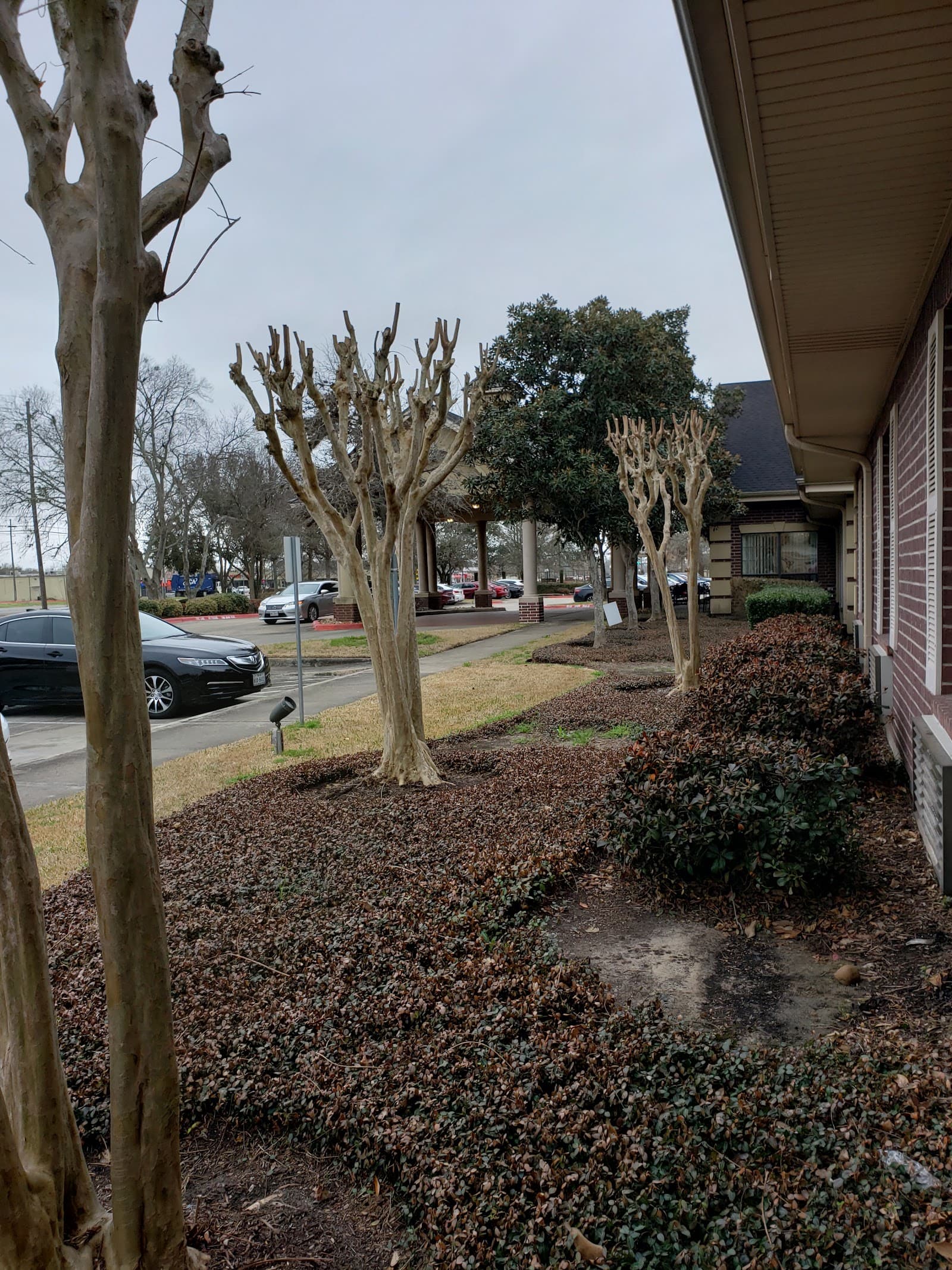 Park Manor of Quail Valley