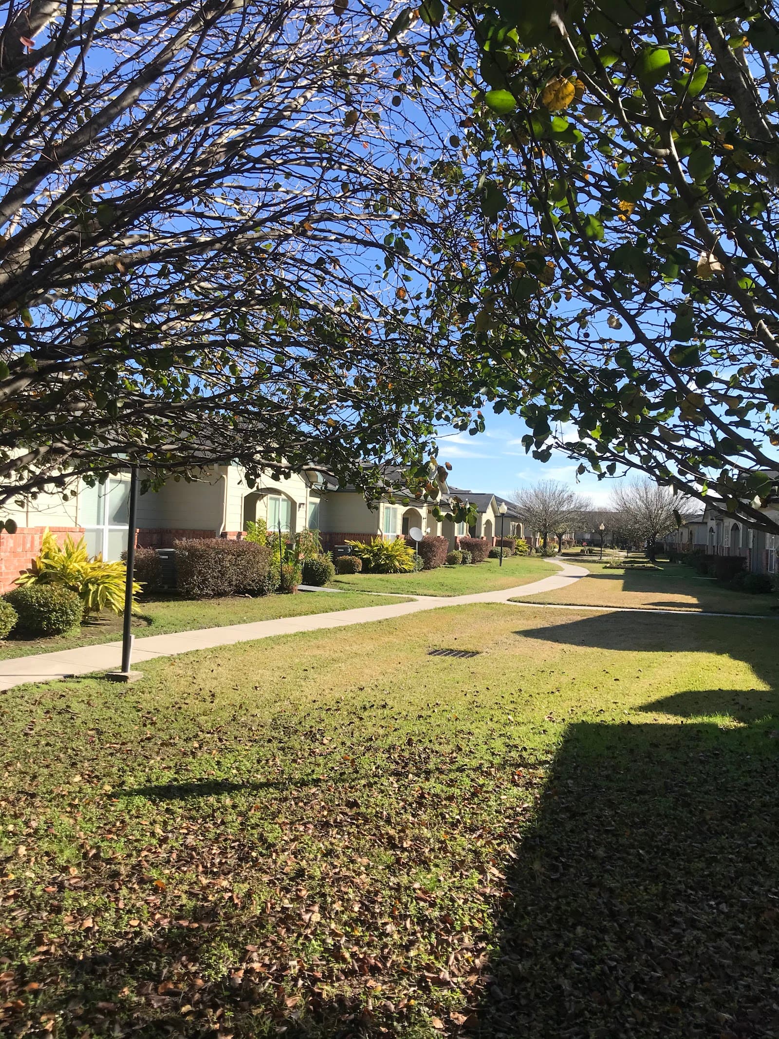 Maplewood Senior Active Living