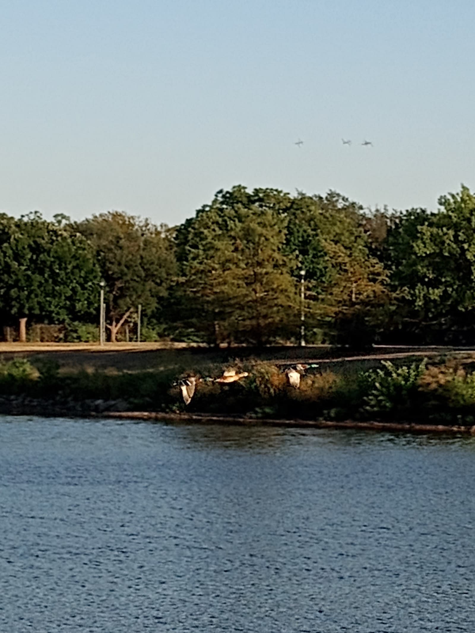 Brookdale Sikes Lake