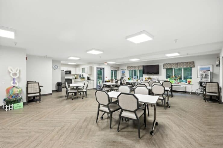 Solista Hickory