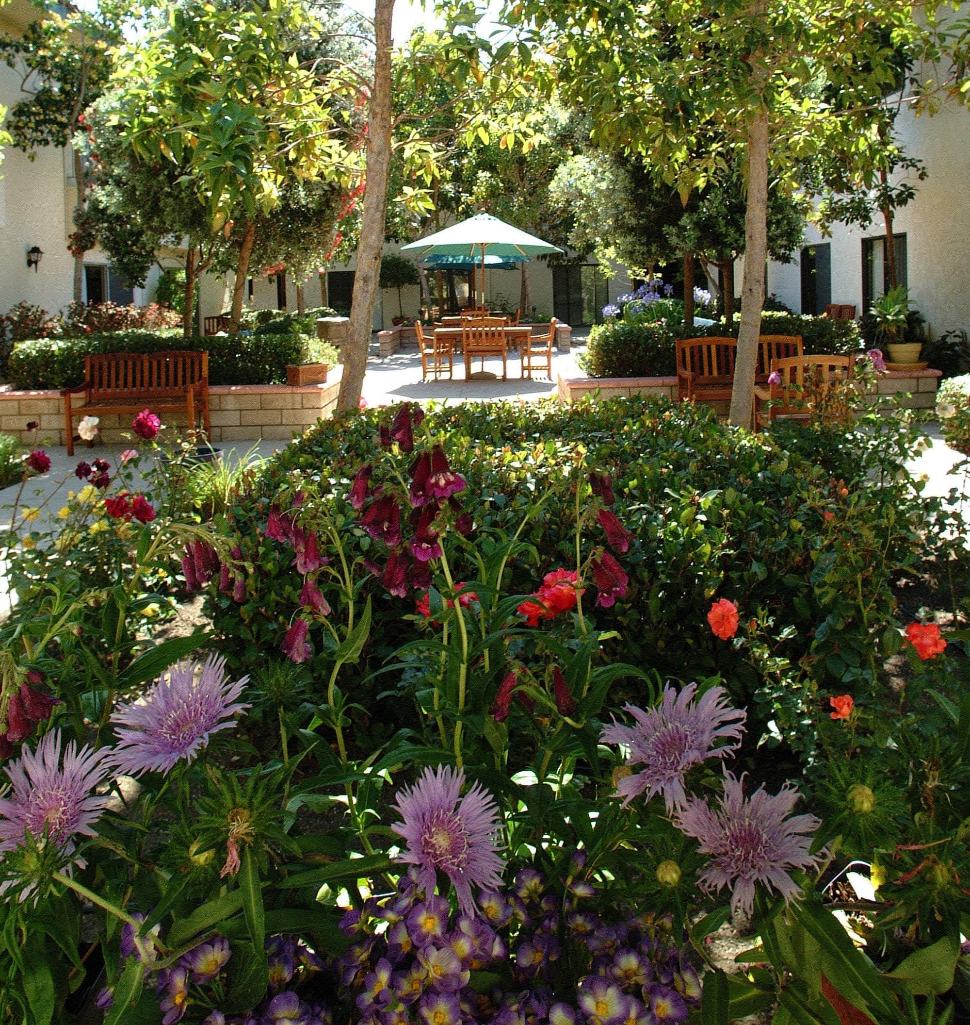 Casa De Flores