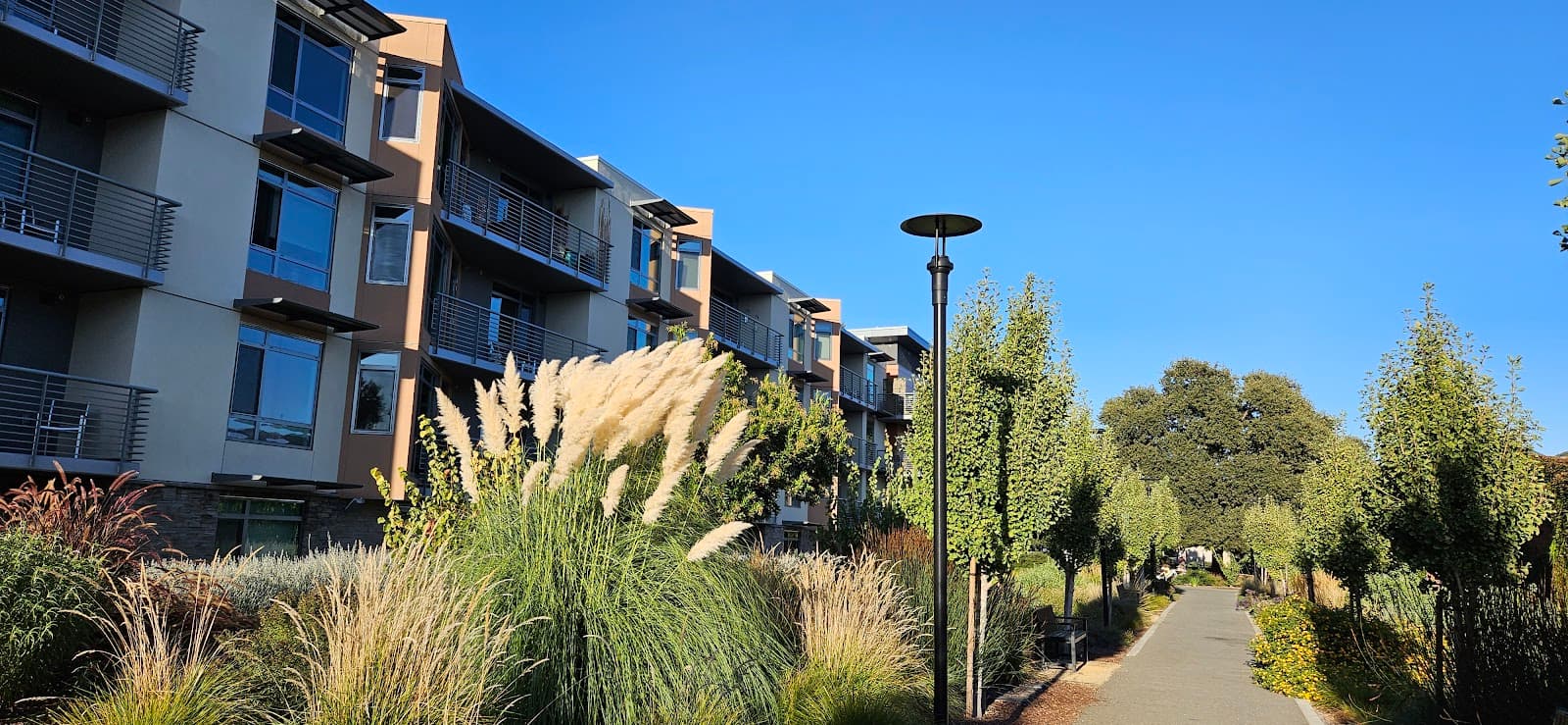 Viamonte At Walnut Creek