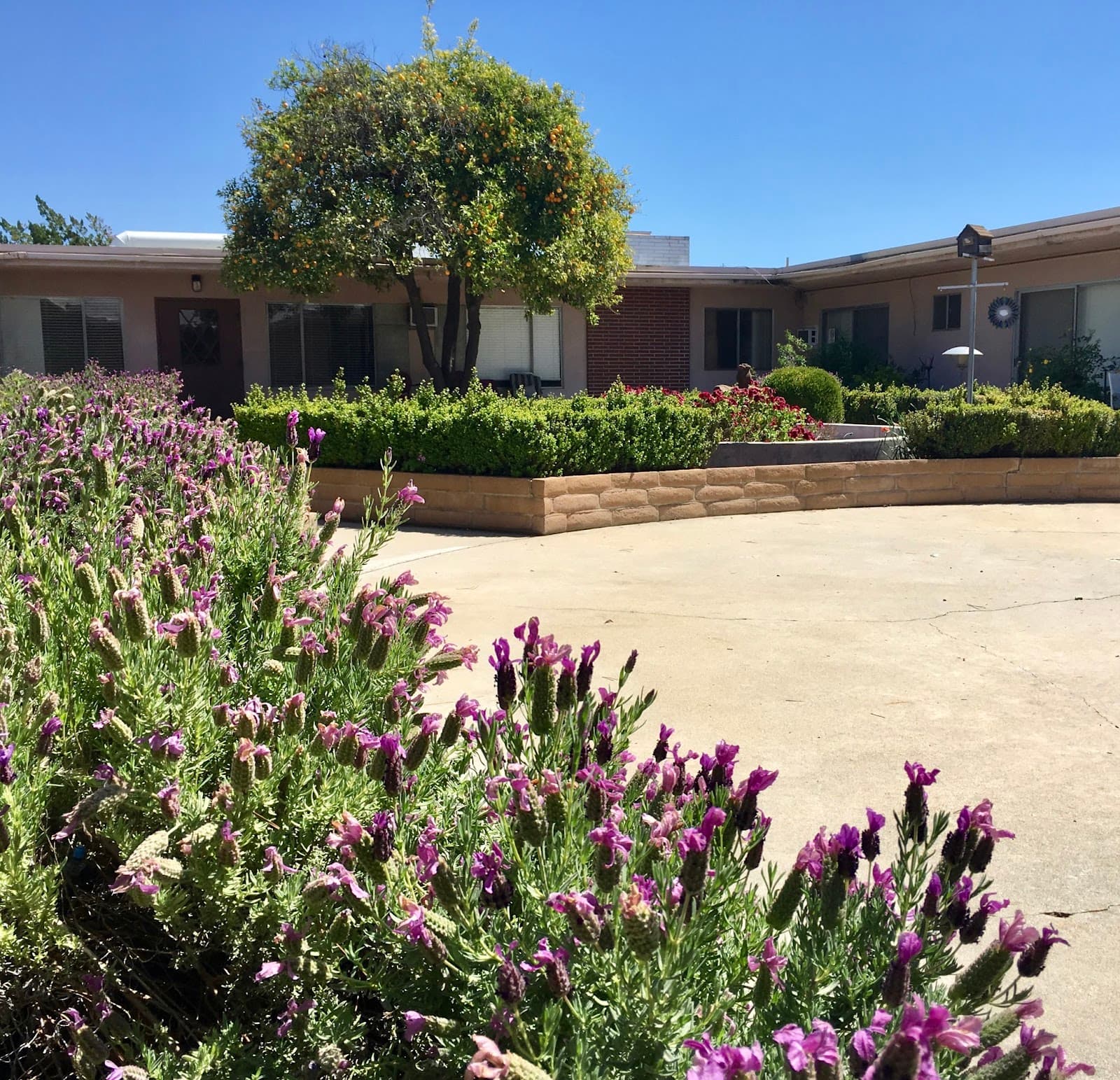 Belmar Villa Assisted Living