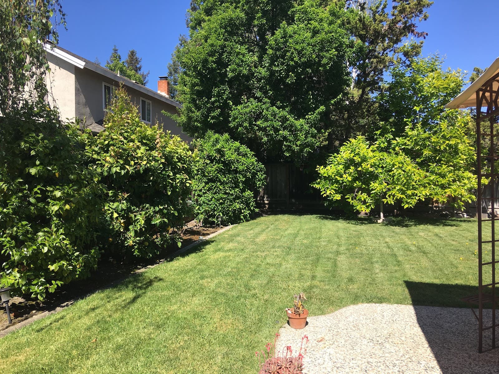 Bluemeadow Care
