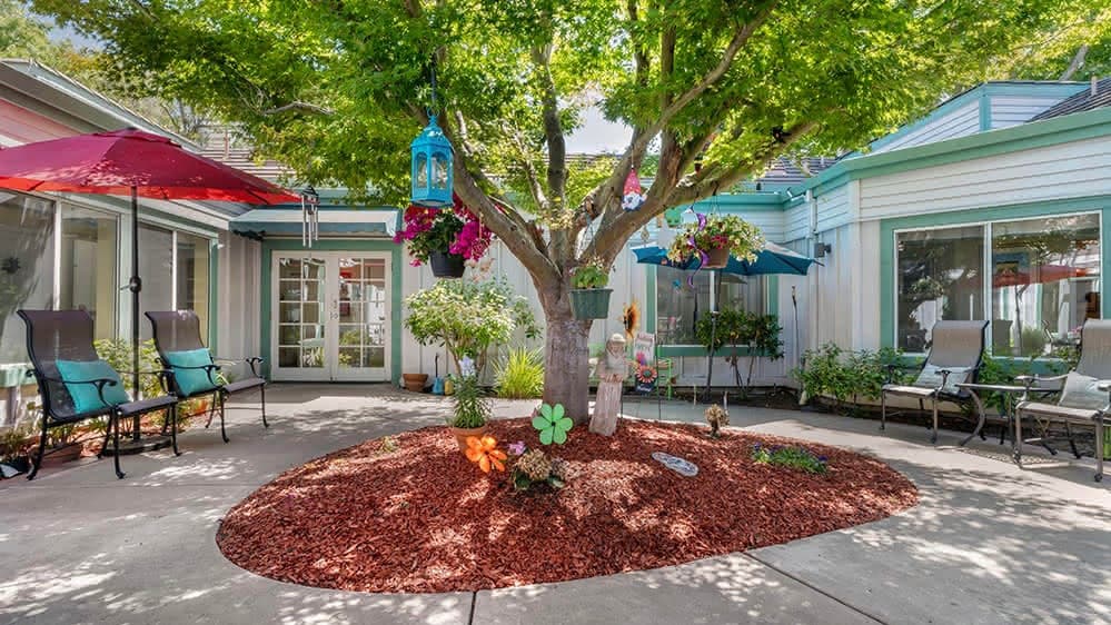 Brookdale North Fremont