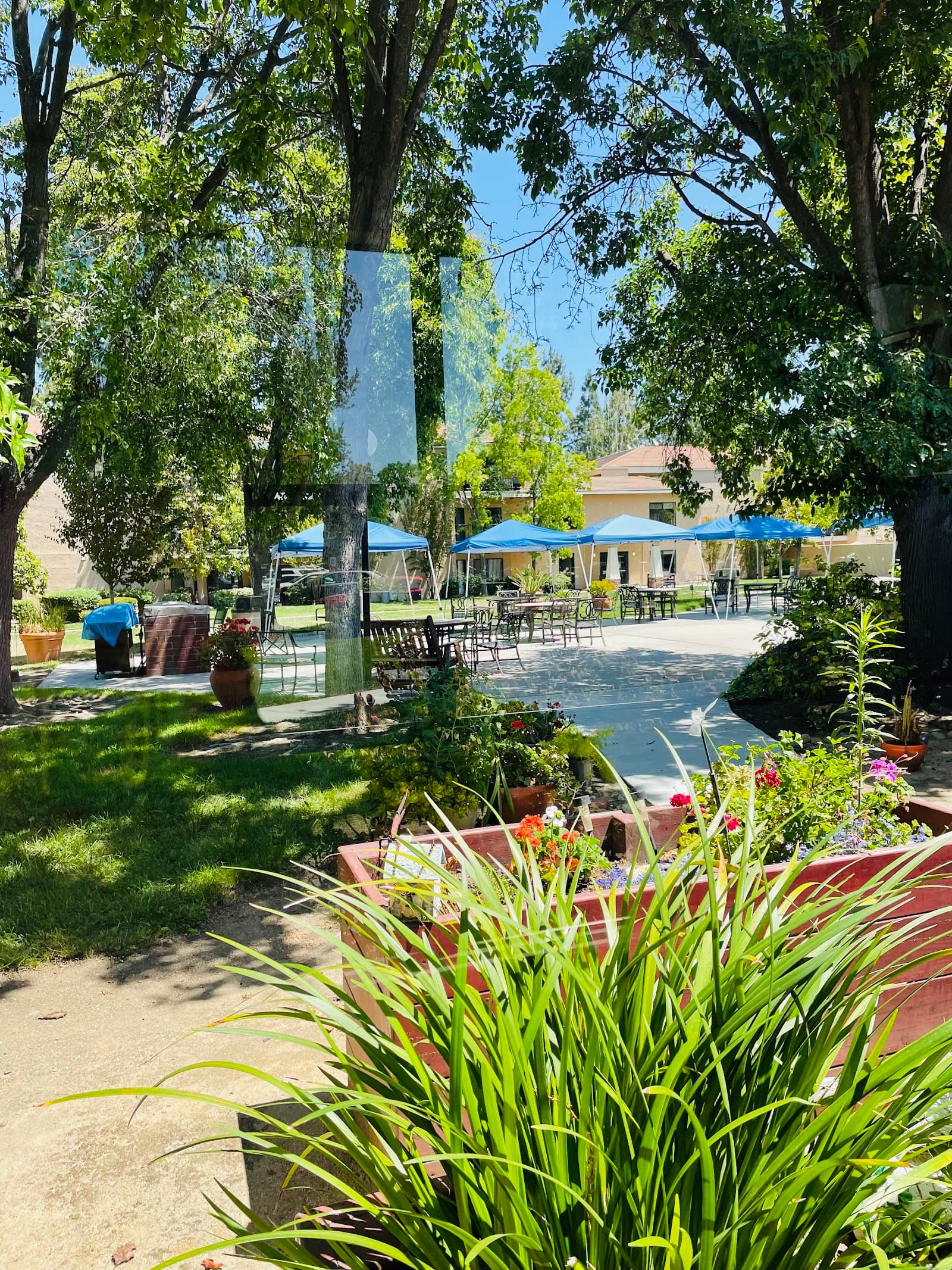 Marbella San Jose