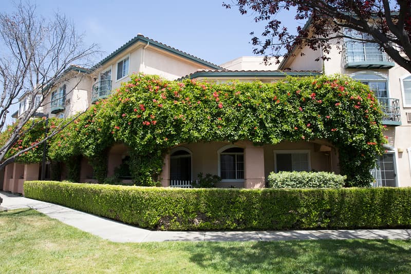 Carlton Senior Living Fremont