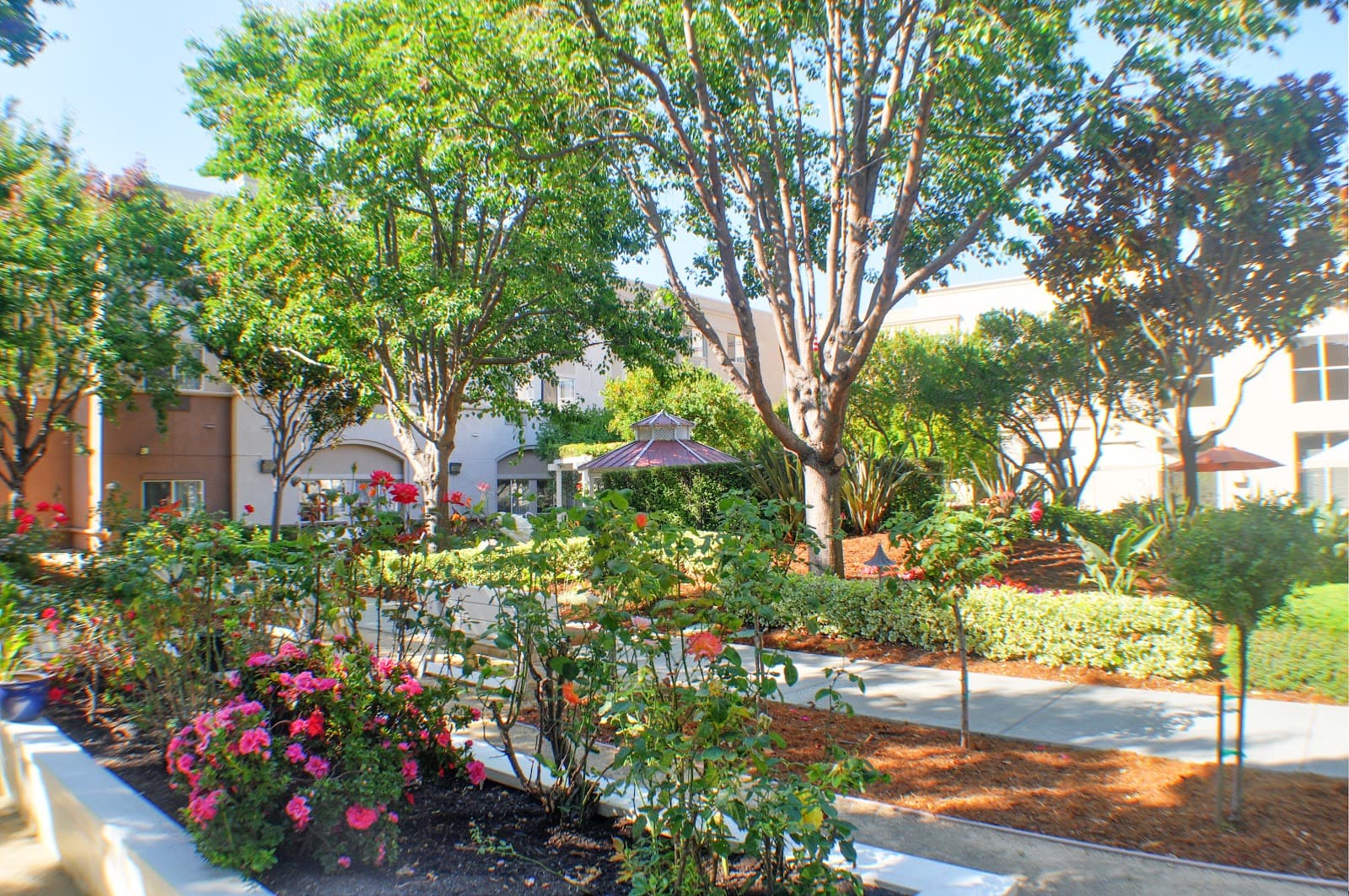 Carlton Senior Living San Leandro