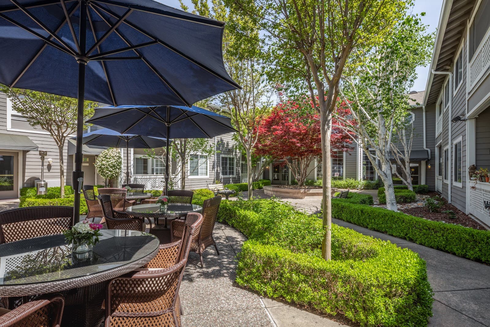 Ivy Park At San Ramon