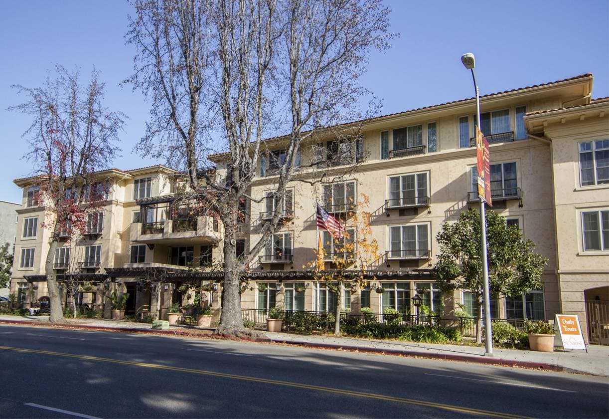 Ivy Park At Studio City