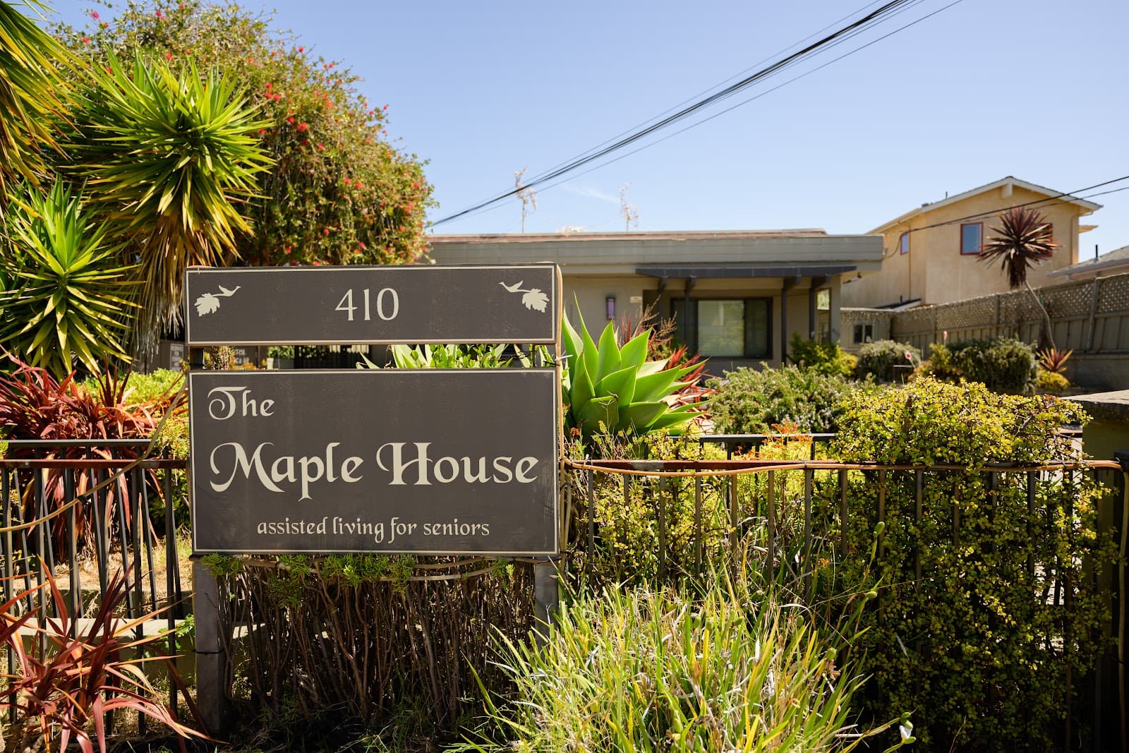 Maple House