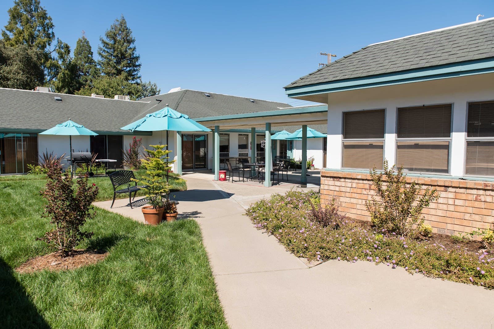 Mountain Manor