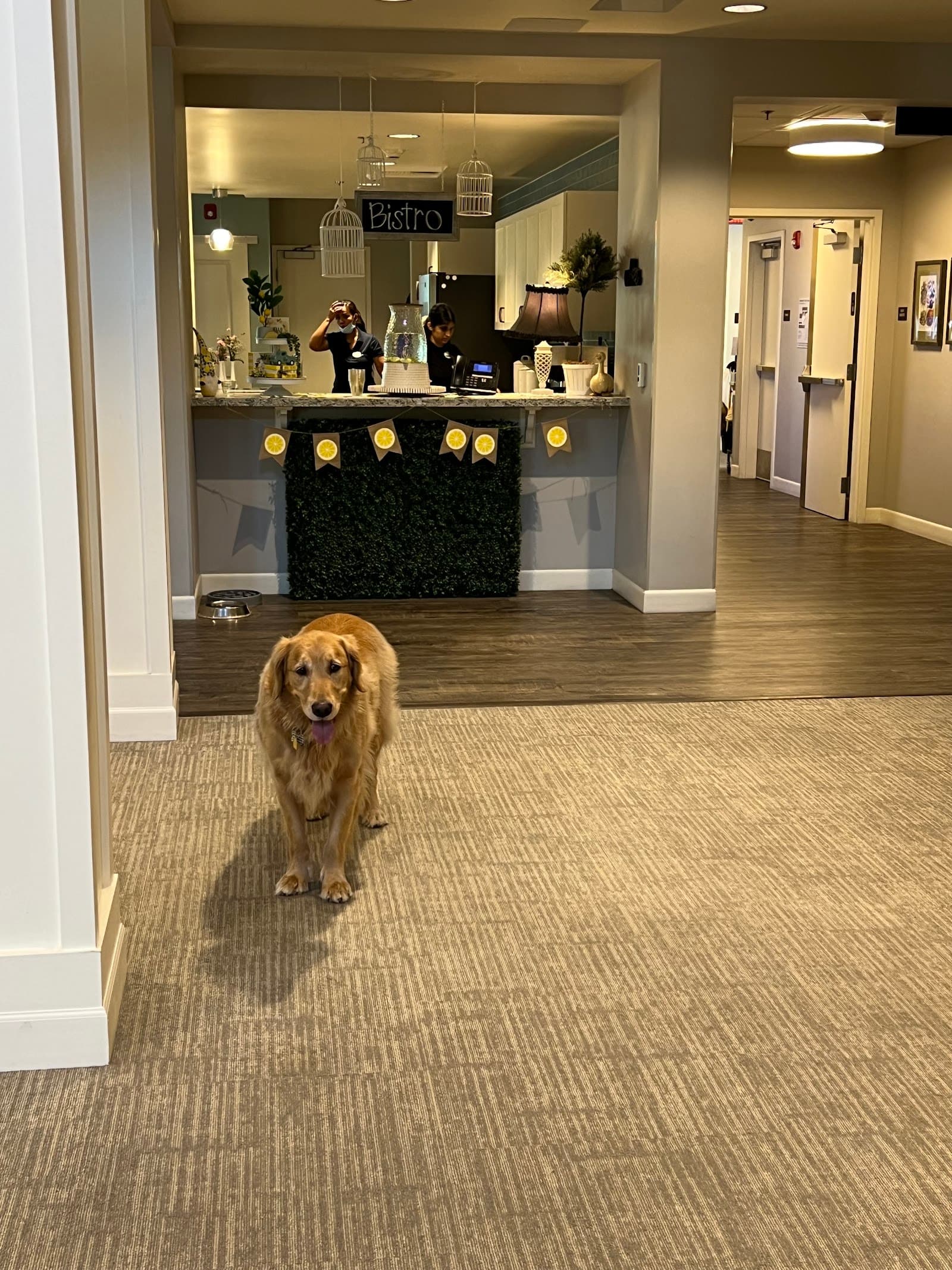 The Oars Senior Living