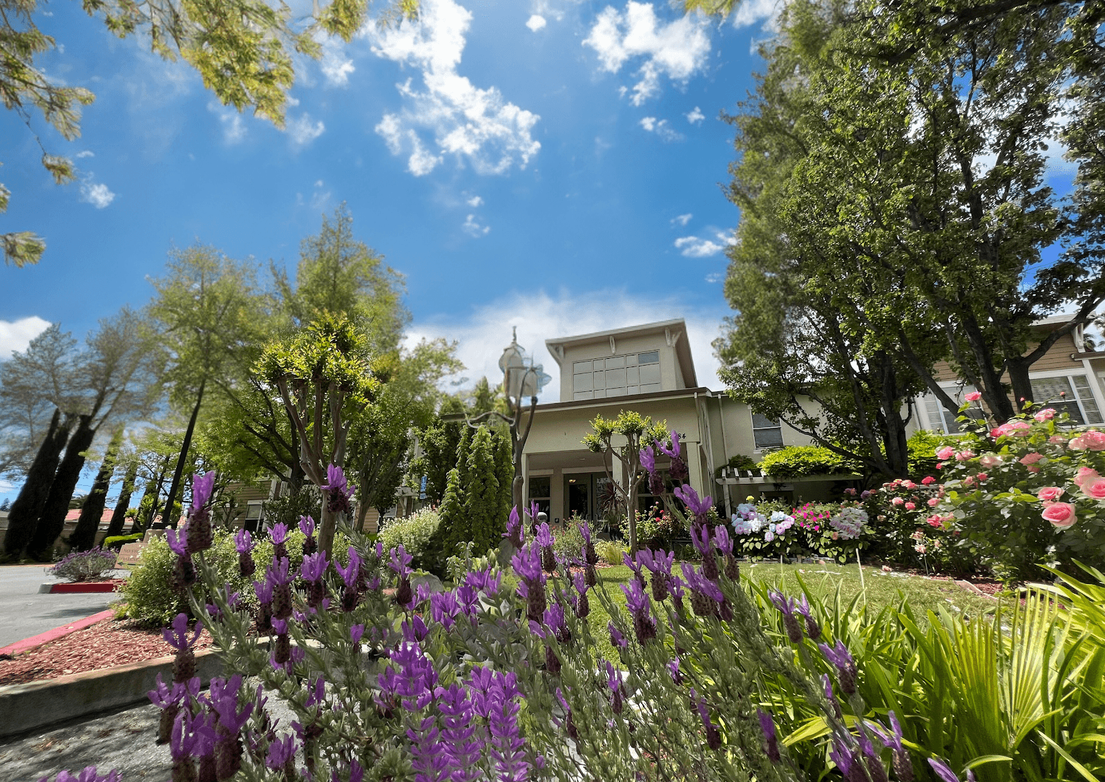 Pacific Gardens — photo 1