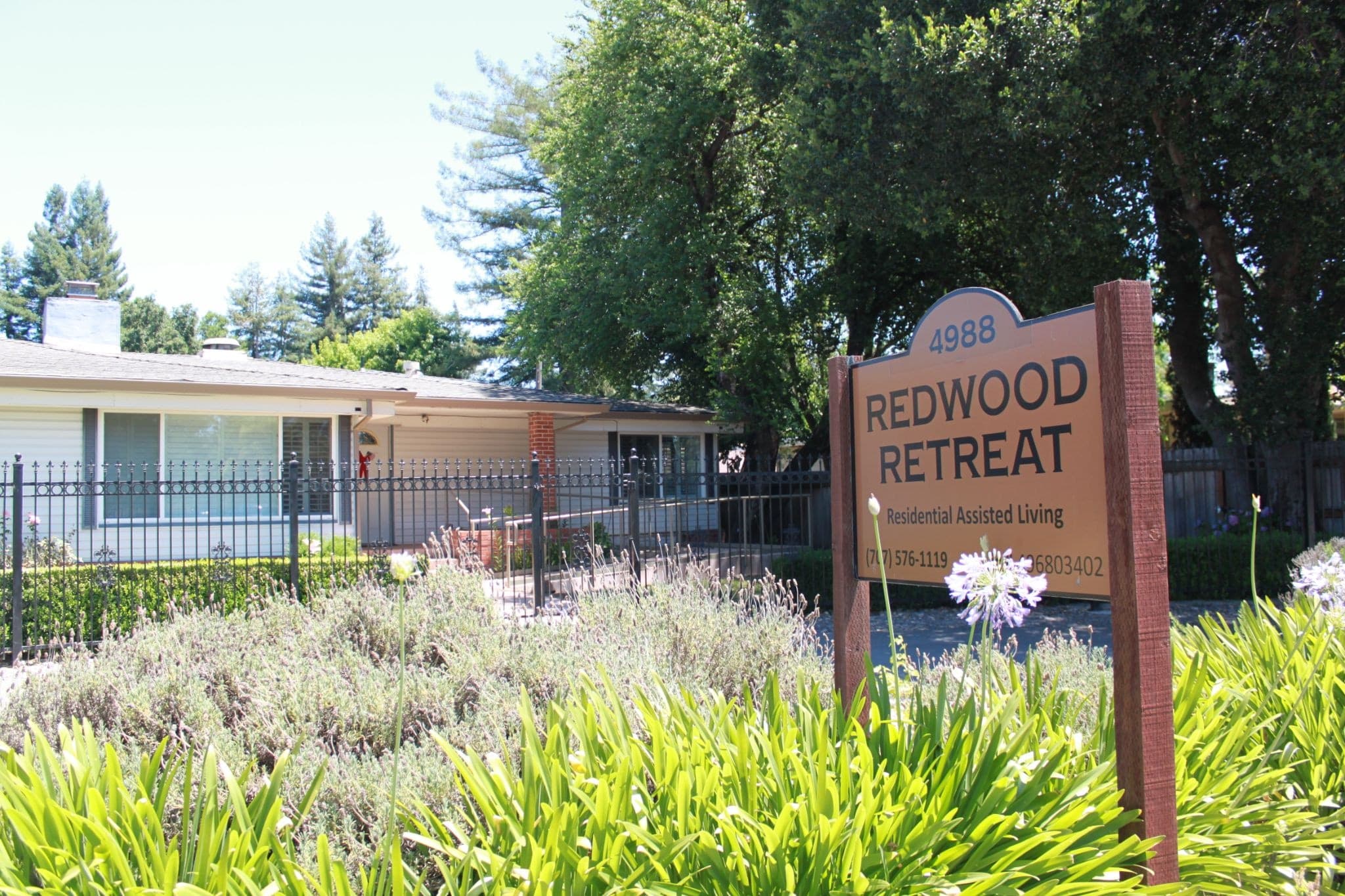 Redwood Retreat