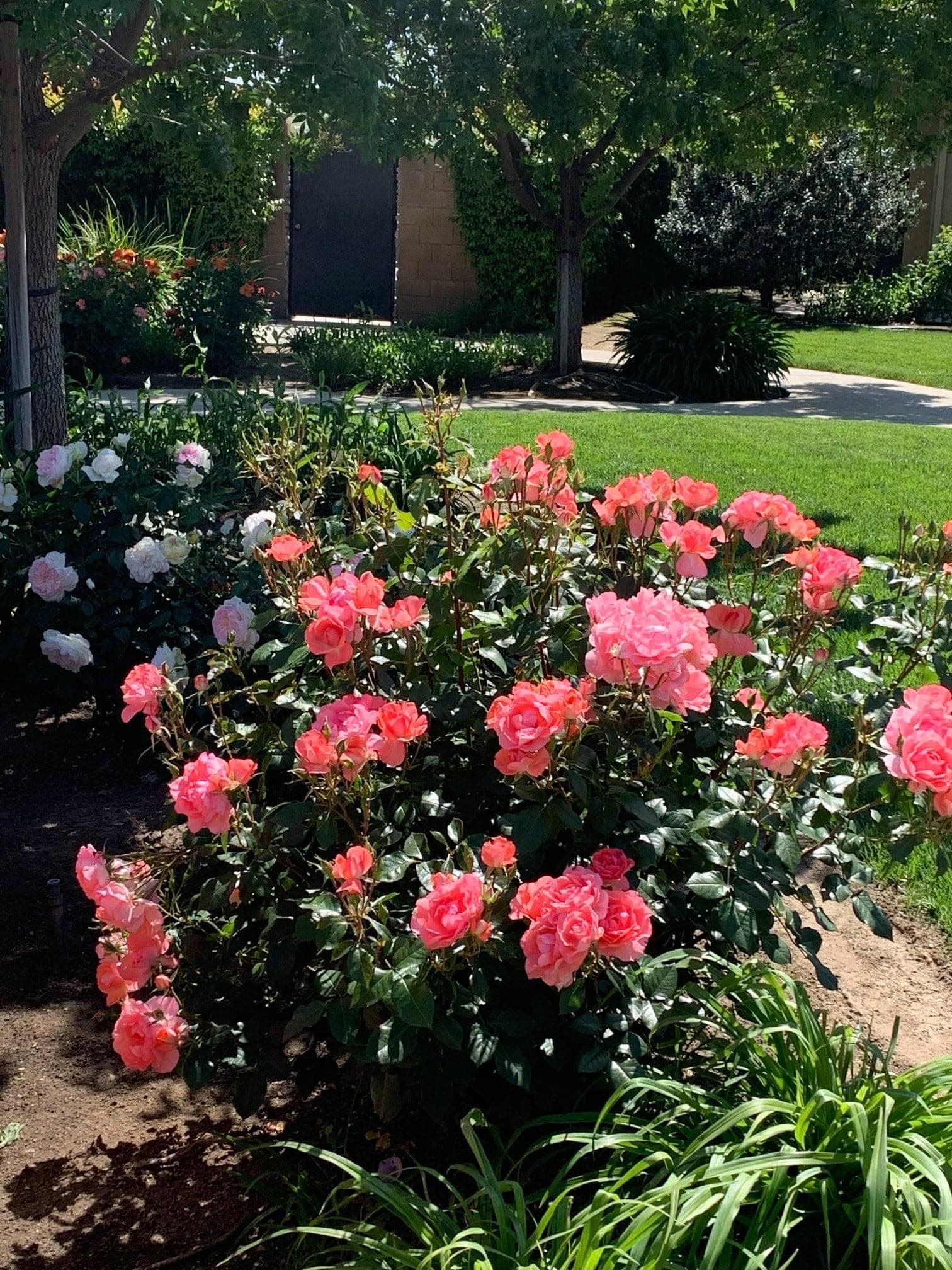 River Bluffs Memory Care