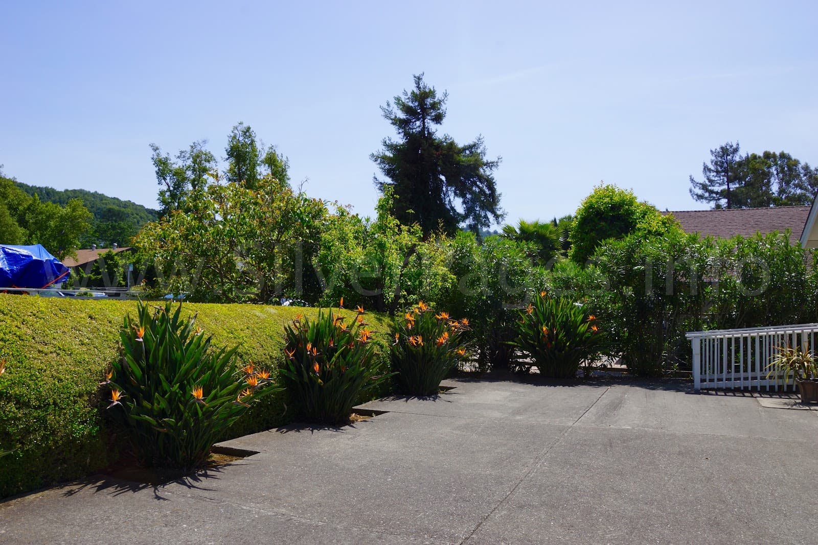 Rose's Residential Care Fac