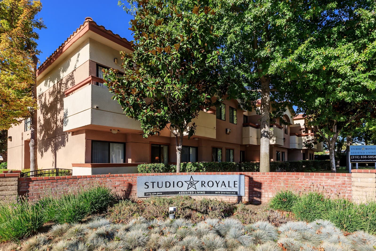 Savant Studio Royale