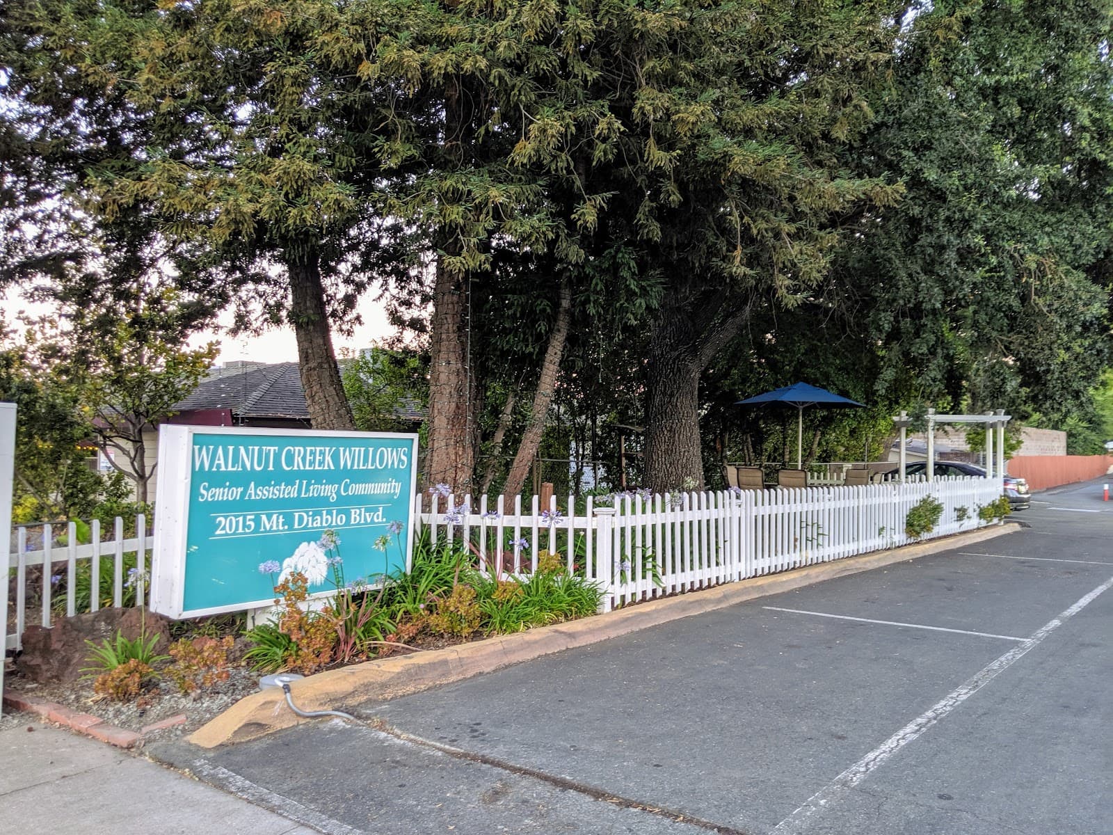 Walnut Creek Willows