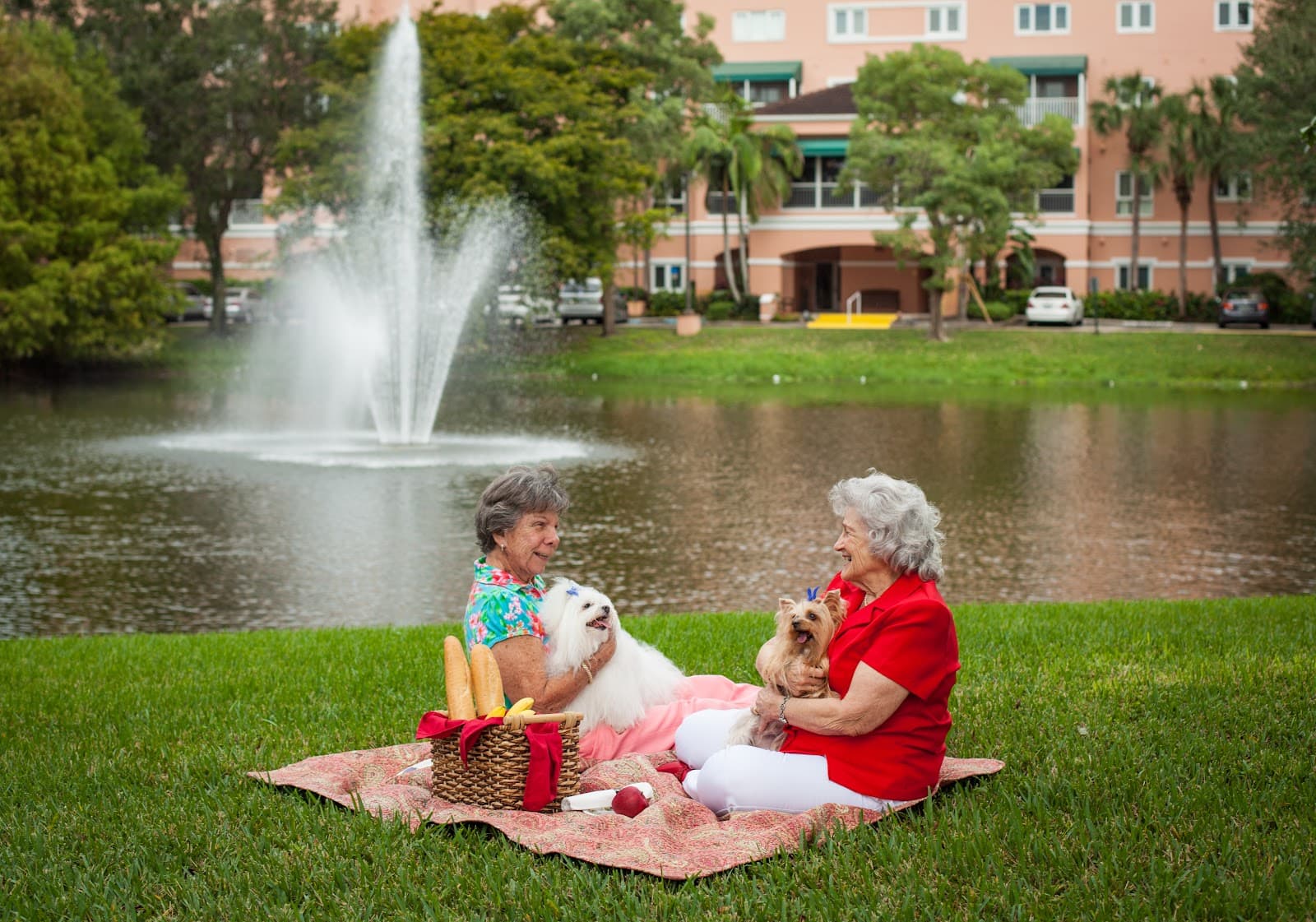 The Pointe at Deerfield