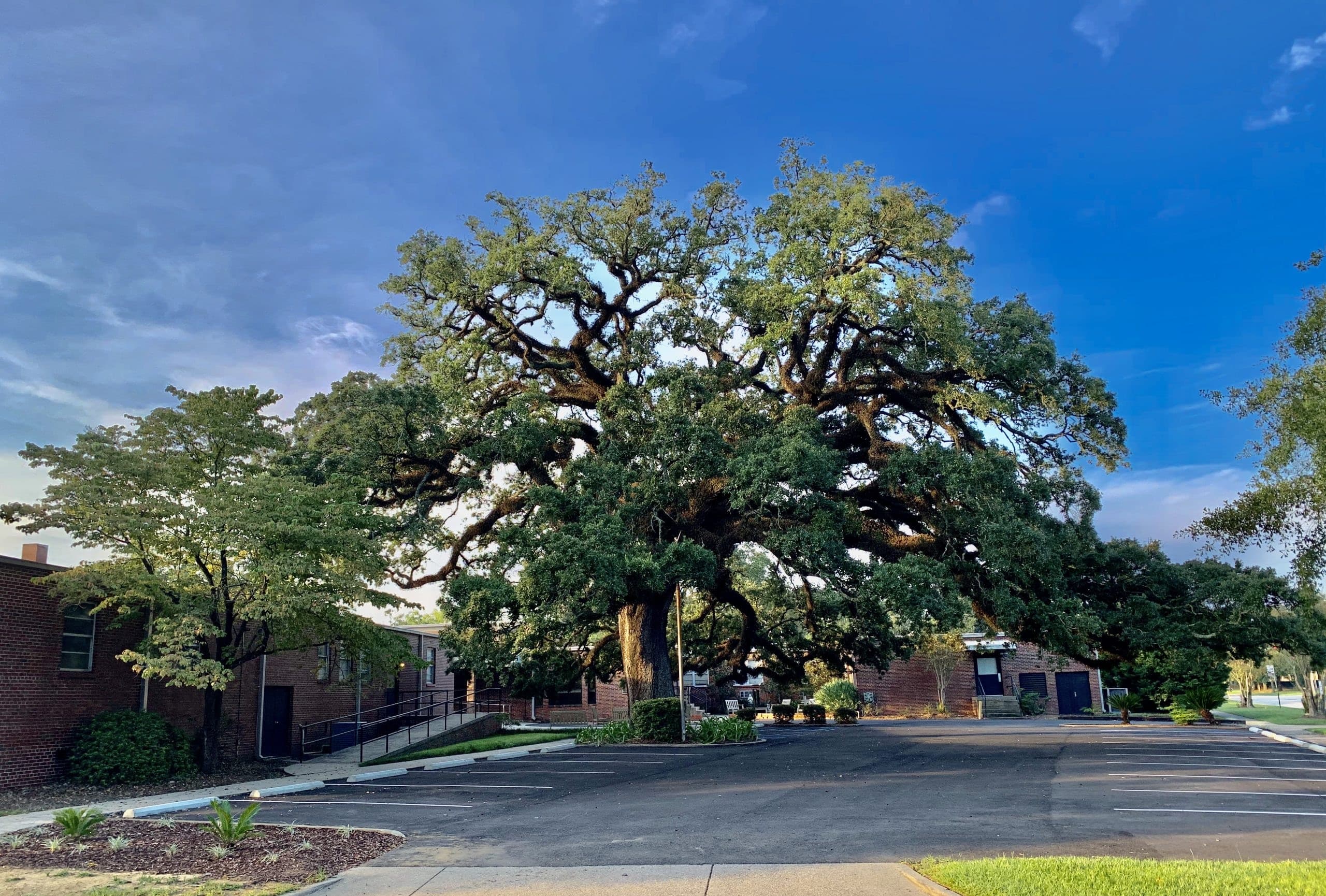 Allen Health And Rehabilitation
