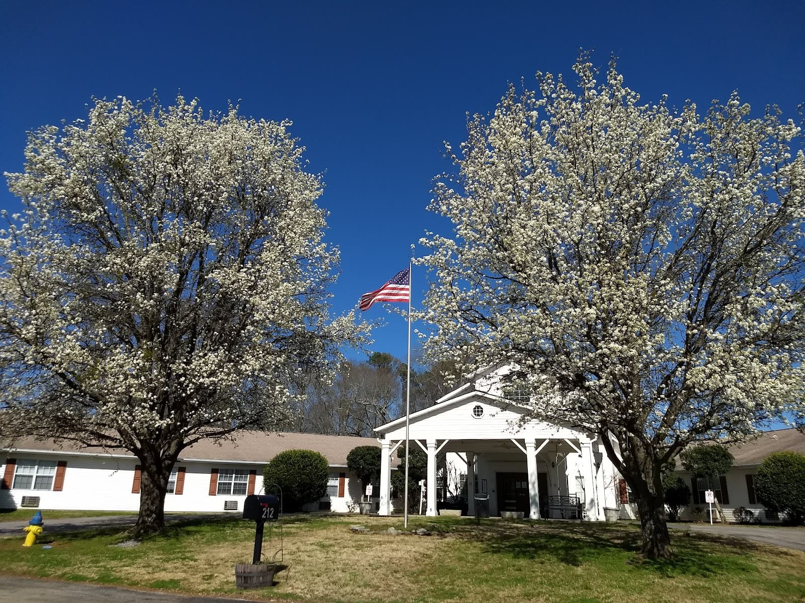Tlc Nursing Center