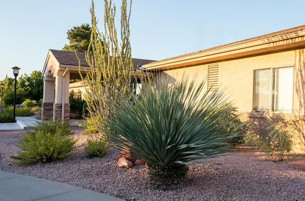 Haven Health Cottonwood